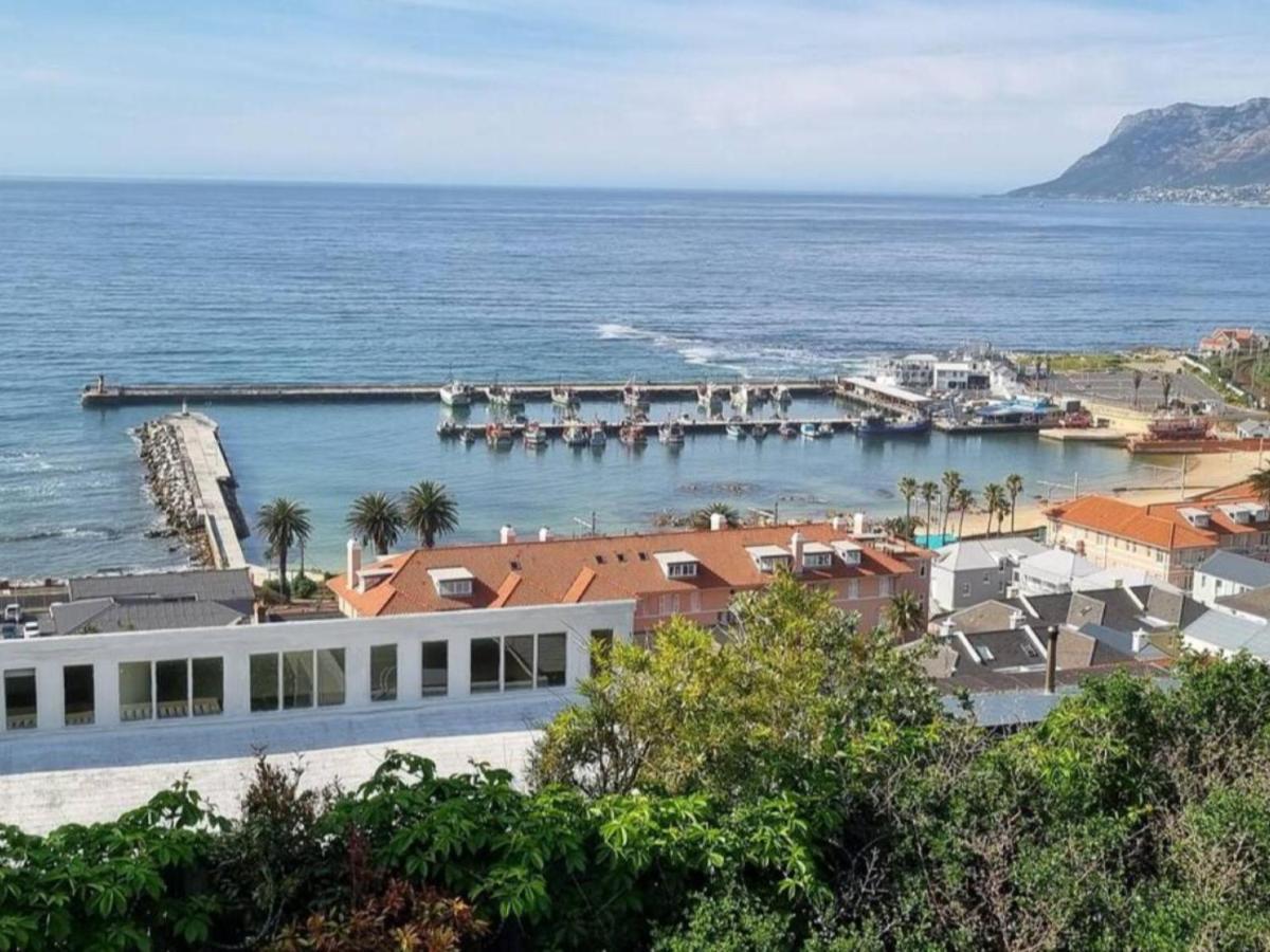 The Dragon Tree Guesthouse Kalk Bay Eksteriør bilde