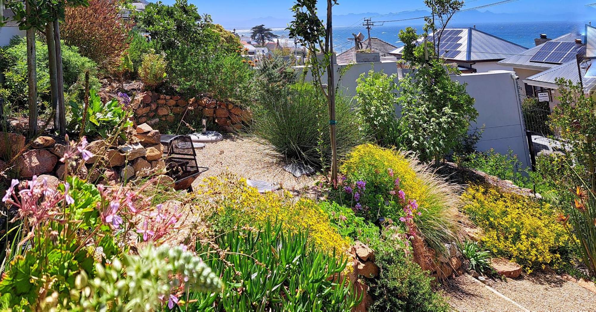 The Dragon Tree Guesthouse Kalk Bay Eksteriør bilde