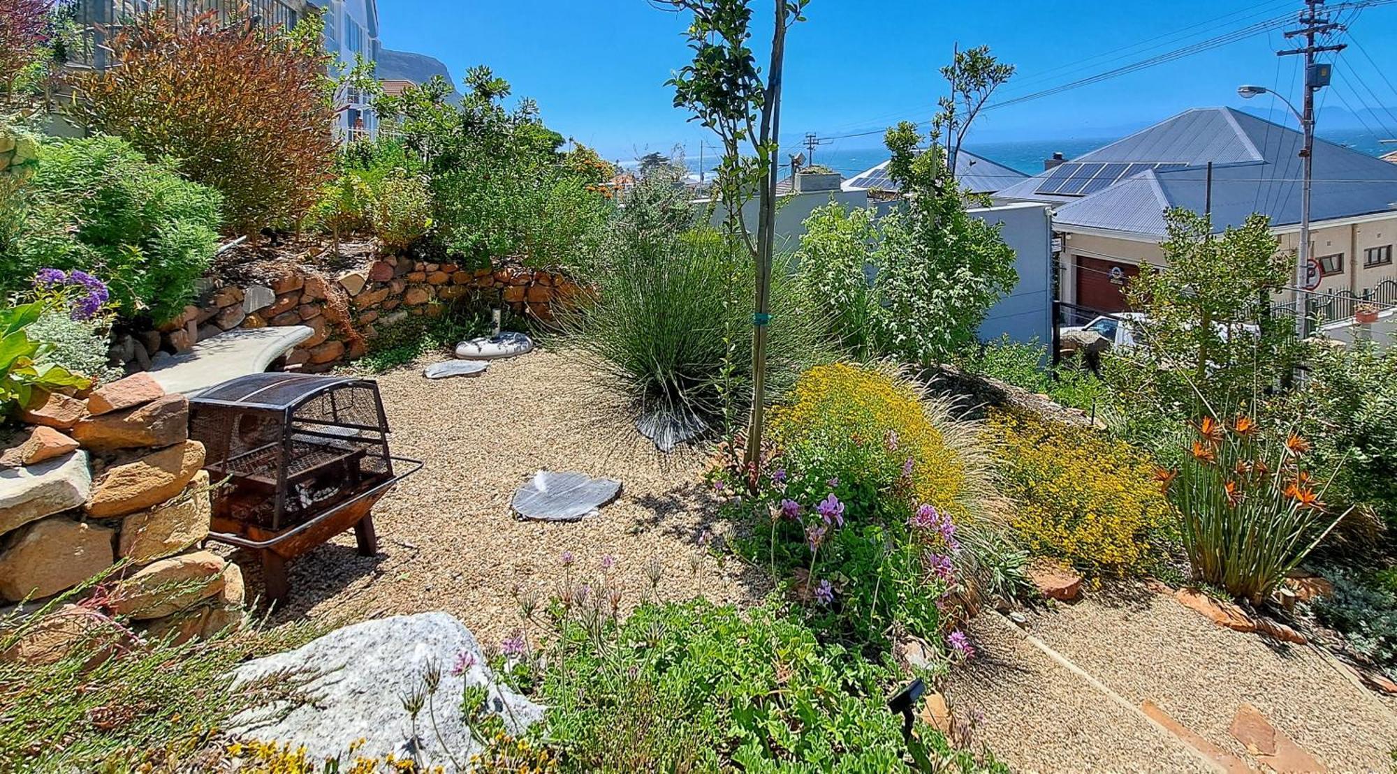 The Dragon Tree Guesthouse Kalk Bay Eksteriør bilde