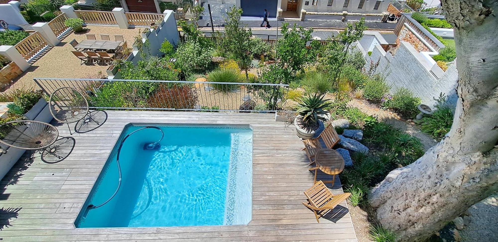 The Dragon Tree Guesthouse Kalk Bay Eksteriør bilde