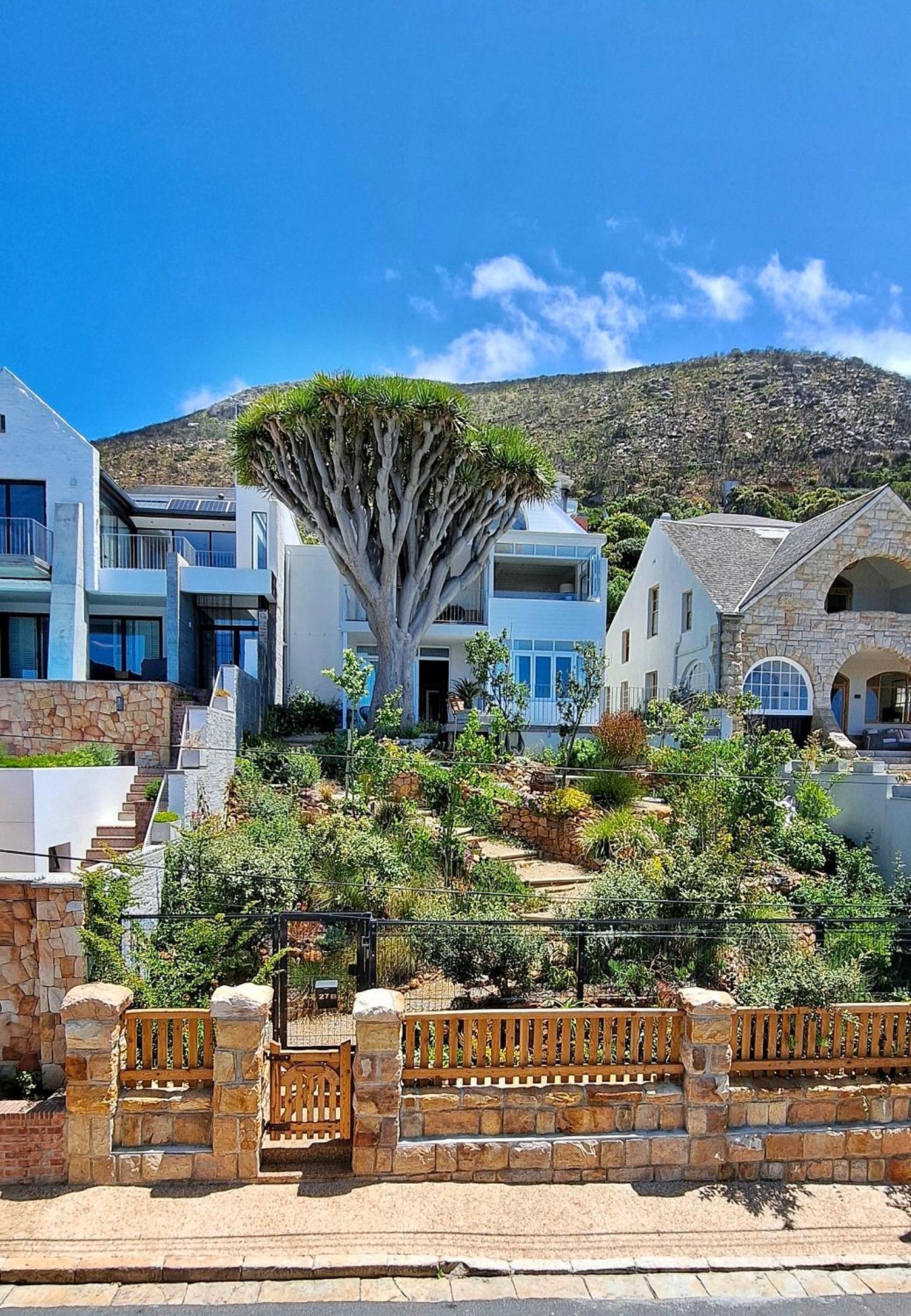 The Dragon Tree Guesthouse Kalk Bay Eksteriør bilde