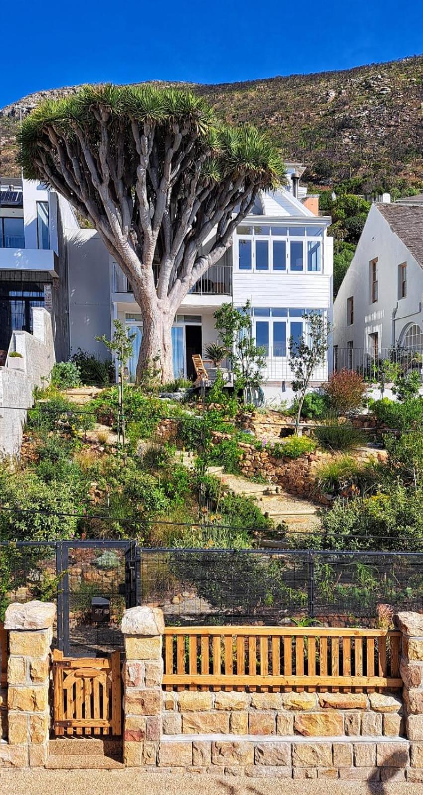The Dragon Tree Guesthouse Kalk Bay Eksteriør bilde